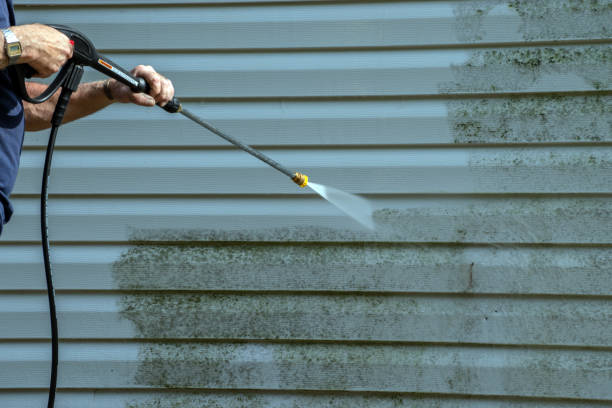 Best Graffiti Removal  in Red Oak, IA